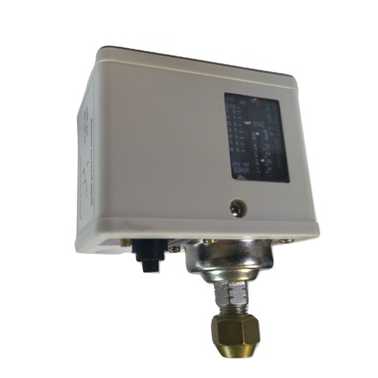 Датчик-реле давления текущего контроля и аварийной сигнализации в промышленности ПРОМА ДРДМ-600-ДИ Датчики давления